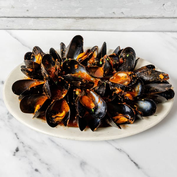 Steamed mussels in a rich red tomato sauce, garnished with fresh herbs on a white plate.